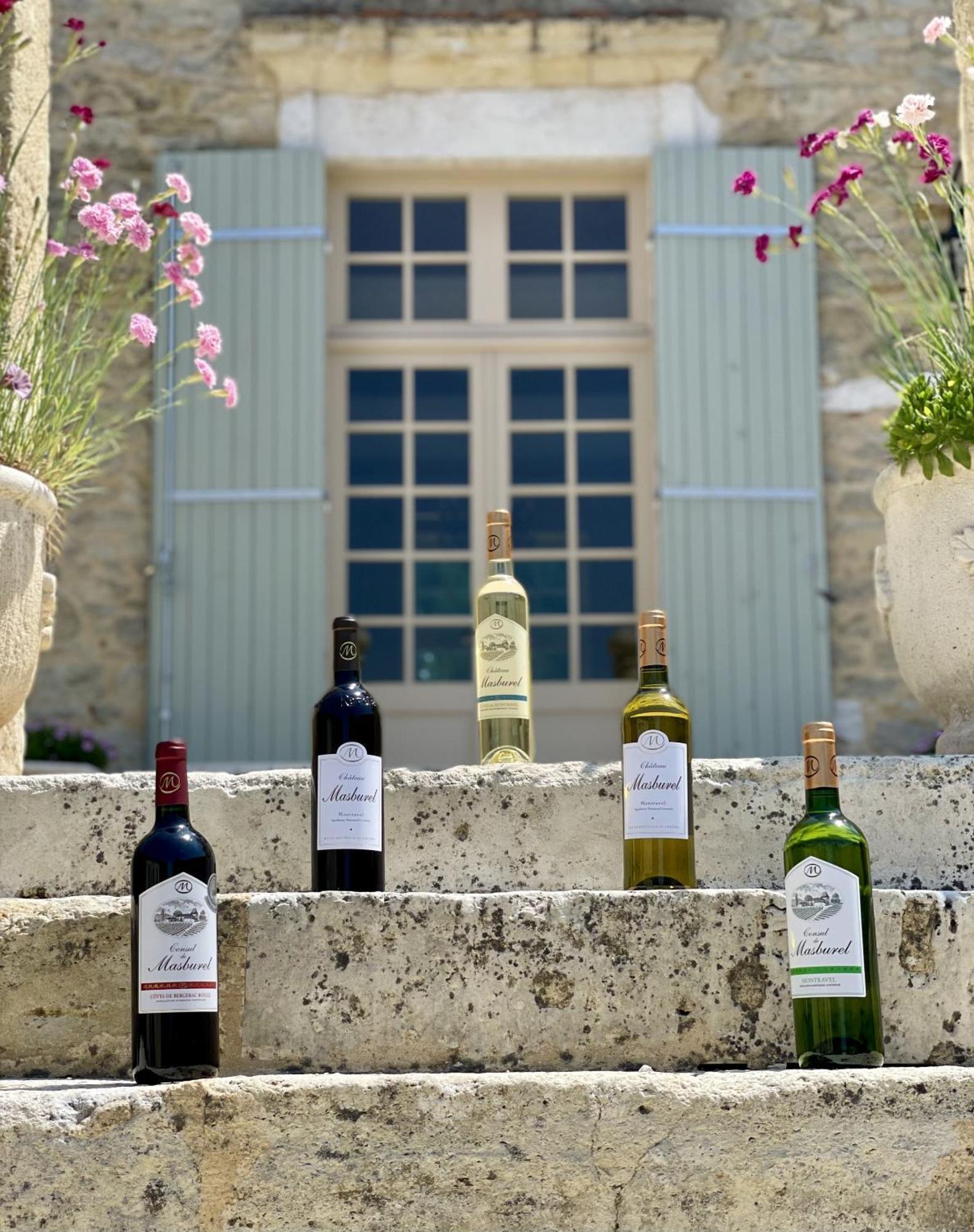 Chateau Masburel Fougueyrolles Exterior foto